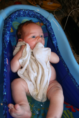 11 Best Baby Bathtubs 2019