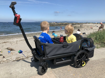 best double stroller for beach