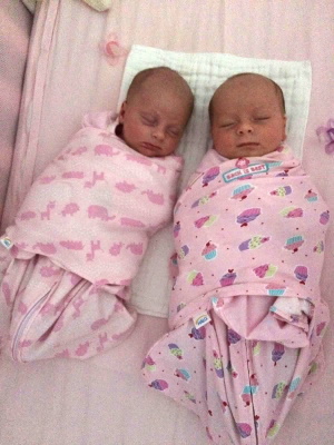 twins sharing a crib
