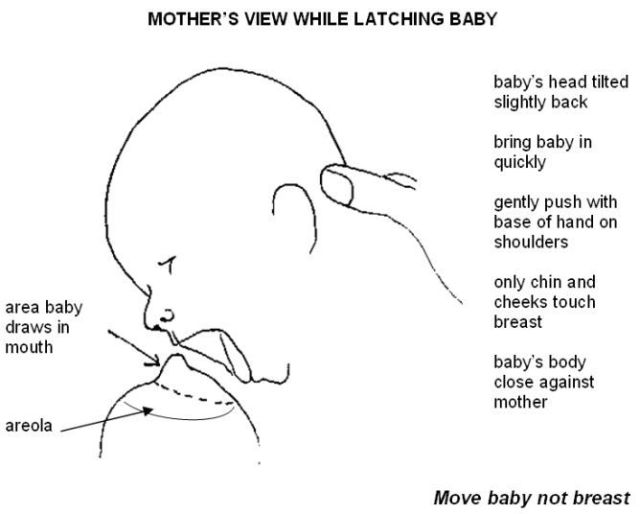 How To Latch Baby Step by step Guide On How To Properly Nurse Your Infant