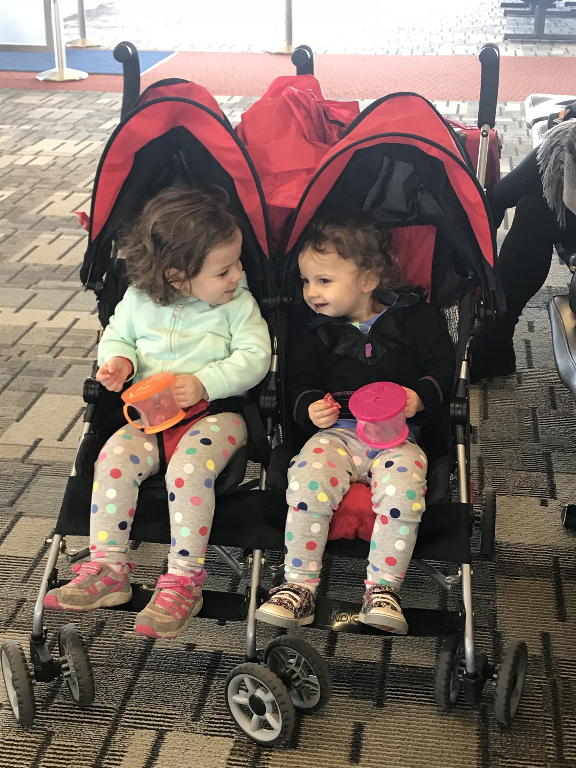 Best Double Strollers for Travel Insider's Guide for 2022 Lucie’s List